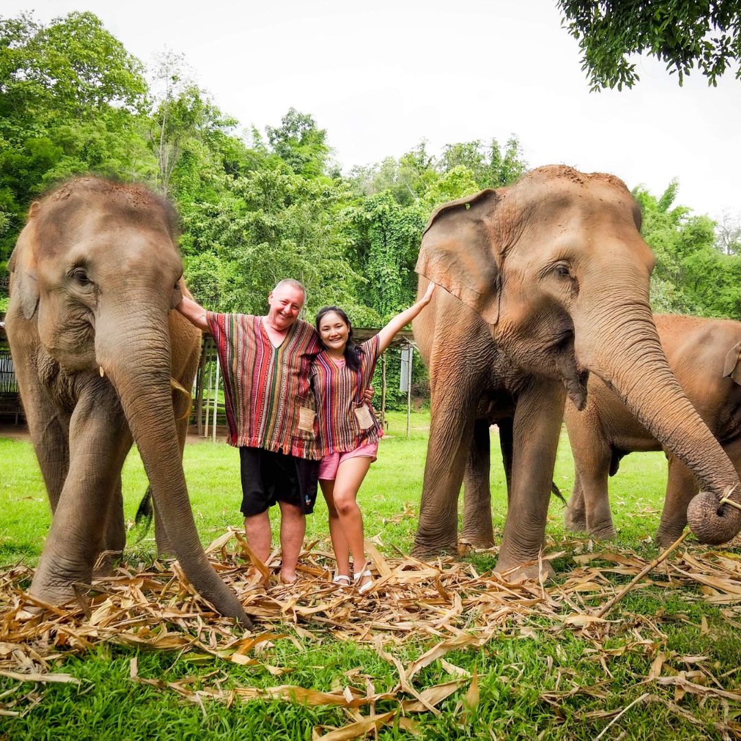 Chiang Mai Elephant Sanctuary - Chiang Mai, Thailand