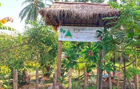 Green House Banteay Srey