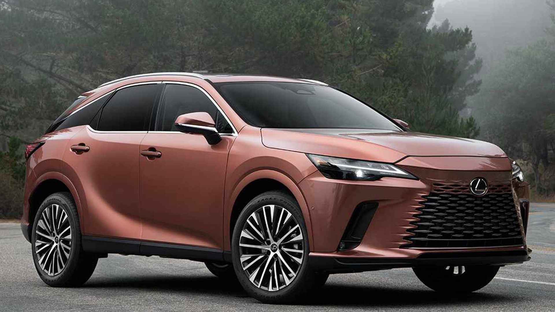 Lexus RX 350 - Premium SUV (Siem Reap, Cambodia)